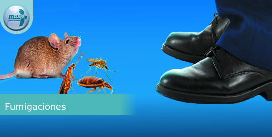 Fumigaciones fumigaciones
